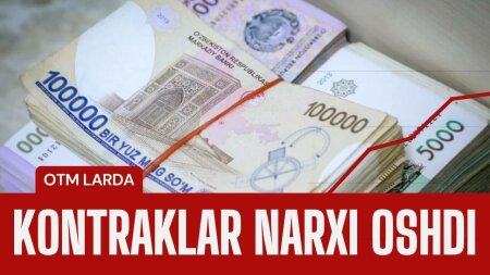 Rasman: davlat OTMlarida kontraklar narxi oshdi